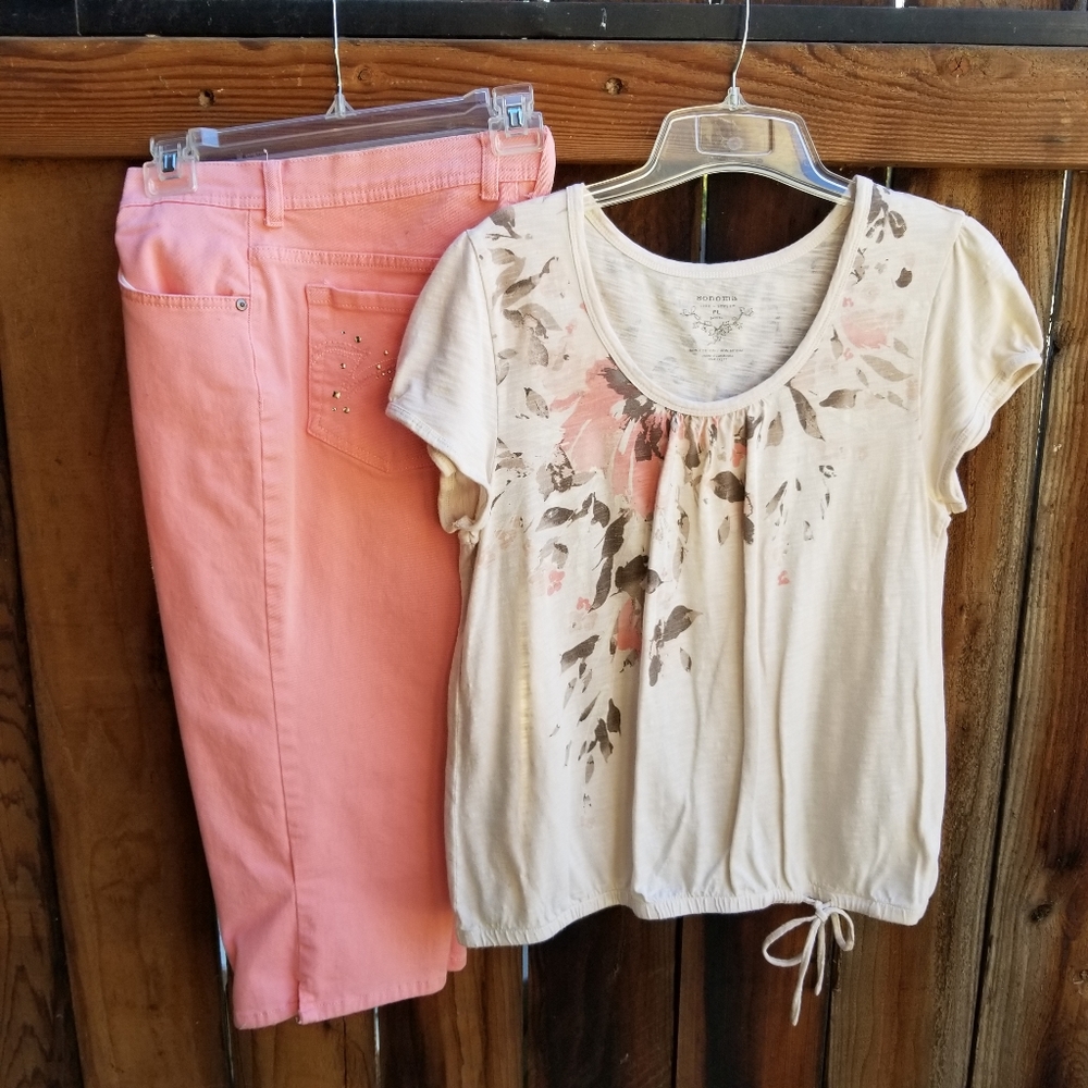 Blouse and capris